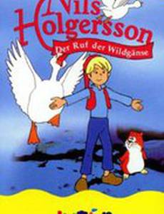 Чудесное путешествие Нильса Хольгерсона