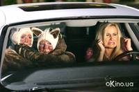 Кадр История Золушки