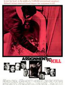 Задание на убийство