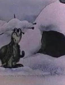 Про черепаху