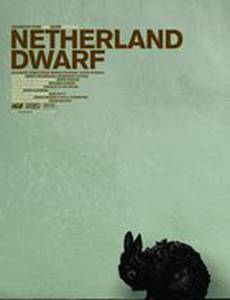 Карликовый нидерландский кролик