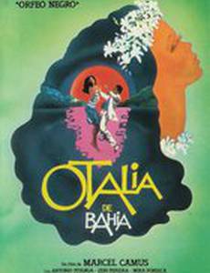 Ночные пасторы