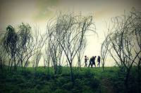 Кадр Длинный уик-энд