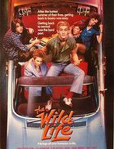 Без тормозов