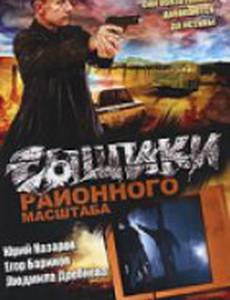 Сыщики районного масштаба
