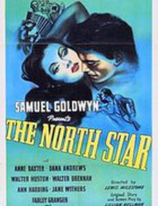 Северная звезда