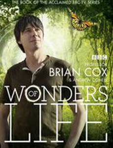 Чудеса жизни (мини-сериал)