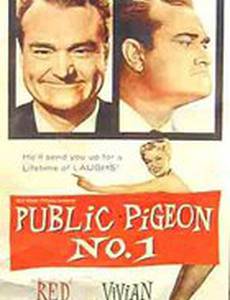 Public Pigeon No. One