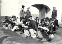 Кадр Без надежды