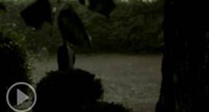 Фрагмент №3