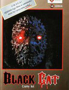 Чёрная кошка