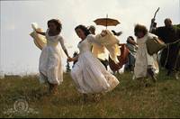 Кадр Много шума из ничего