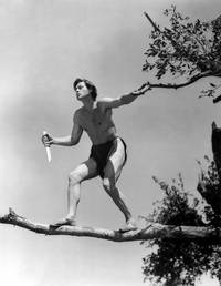 Кадр Тарзан находит сына