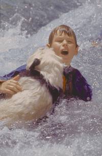 Кадр Удивительное приключение панды