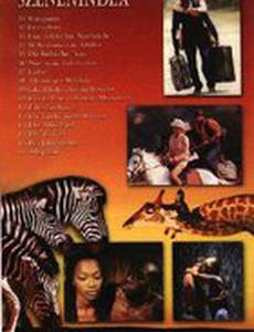 Фонтан для Cюзанны 3