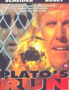 В бегах (видео)