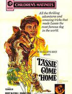 Лесси возвращается домой