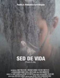 Sed de Vida