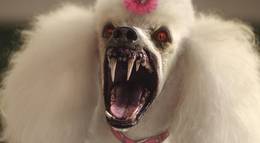 Кадр из фильма "Ужастики" - 2