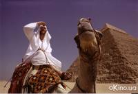 Кадр Так где же ты, Усама бин Ладен?