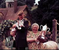 Кадр Бэйб: Поросенок в городе