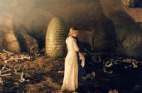 Кадр Кольцо дракона