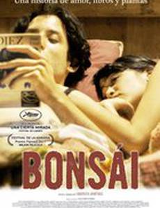 Бонсай