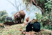 Кадр Шина – королева джунглей