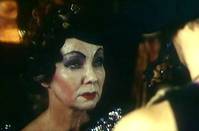 Кадр Цветы календулы