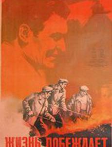 Жизнь побеждает