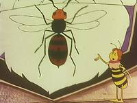 Кадр Пчелка Майя