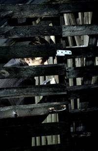 Кадр Меченосец