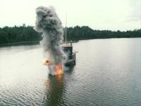 Кадр Зверобой