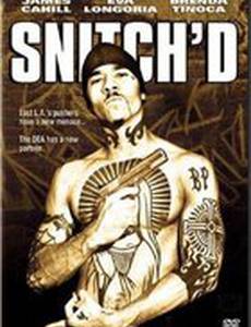 Снитч (видео)