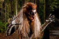 Кадр Тайны Смолвиля