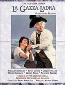 Сорока – воровка