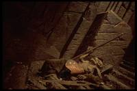 Кадр Властелин колец: Братство кольца