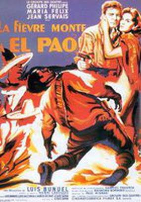 Лихорадка приходит в Эль-Пао