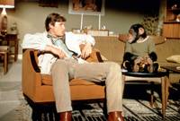 Кадр Босой руководитель