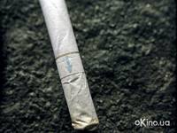 Кадр Кирпич