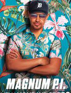 Частный детектив Магнум