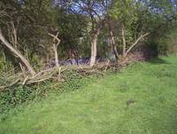 Кадр Tales from the Green Valley