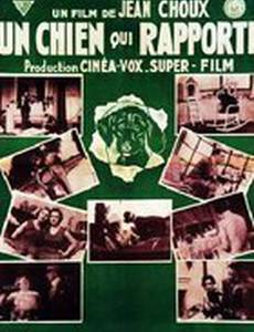 Рапортующая собака