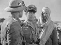 Кадр Сахара