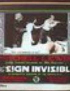 The Sign Invisible