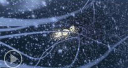 Мультфильм