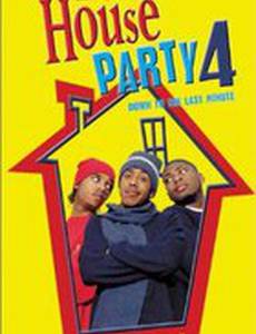 Домашняя вечеринка 4 (видео)