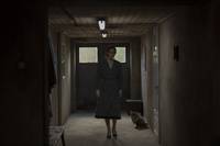 Кадр Колония Дигнидад