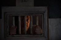 Кадр Обитель проклятых (Дом проклятых)