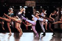 Кадр Кордебалет